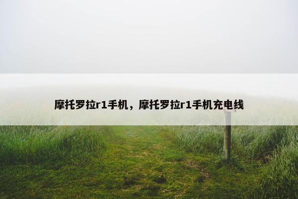 摩托罗拉r1手机，摩托罗拉r1手机充电线