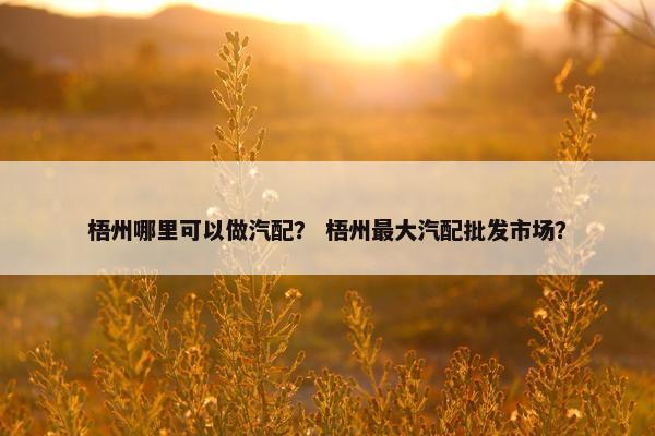 梧州哪里可以做汽配？ 梧州最大汽配批发市场？