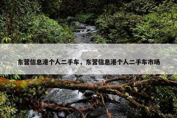 东营信息港个人二手车，东营信息港个人二手车市场