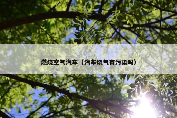 燃烧空气汽车（汽车烧气有污染吗）