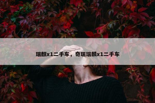 瑞麒x1二手车，奇瑞瑞麟x1二手车