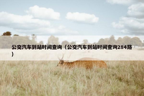 公交汽车到站时间查询（公交汽车到站时间查询284路）
