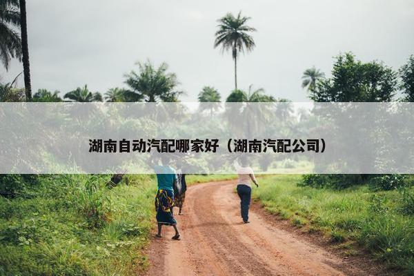 湖南自动汽配哪家好（湖南汽配公司）