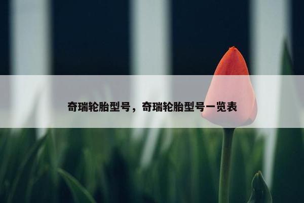 奇瑞轮胎型号，奇瑞轮胎型号一览表