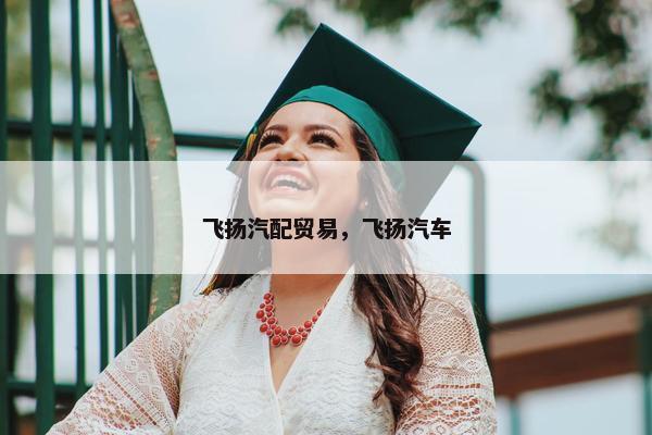 飞扬汽配贸易，飞扬汽车