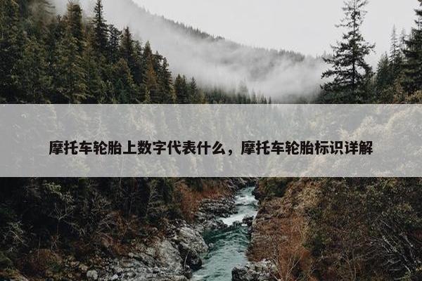 摩托车轮胎上数字代表什么，摩托车轮胎标识详解