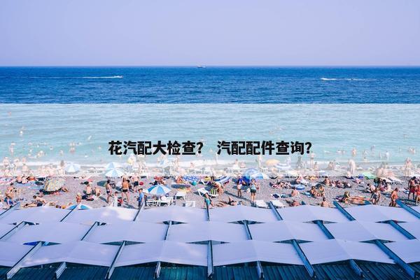 花汽配大检查？ 汽配配件查询？