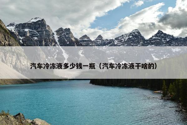 汽车冷冻液多少钱一瓶（汽车冷冻液干啥的）