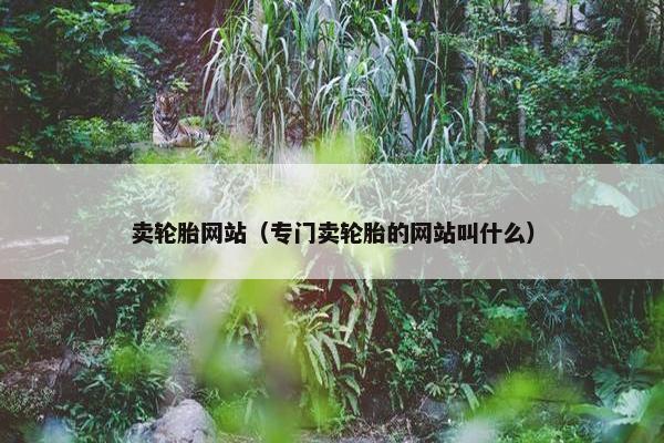 卖轮胎网站（专门卖轮胎的网站叫什么）