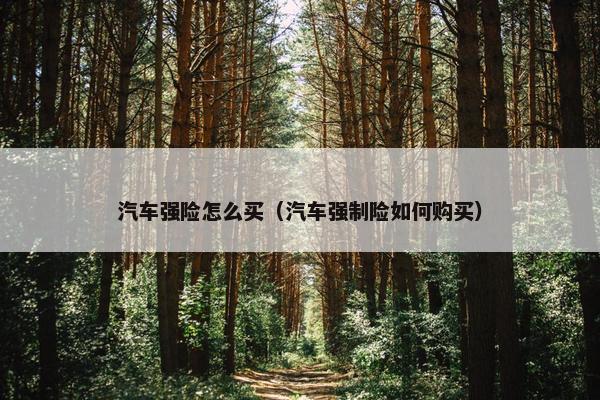 汽车强险怎么买（汽车强制险如何购买）