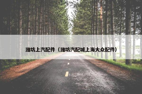 潍坊上汽配件（潍坊汽配城上海大众配件）