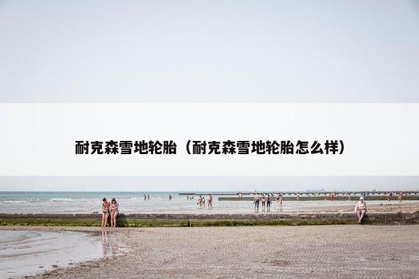 耐克森雪地轮胎（耐克森雪地轮胎怎么样）