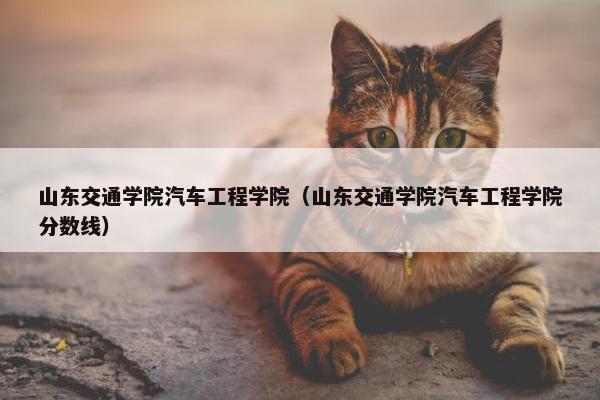 山东交通学院汽车工程学院（山东交通学院汽车工程学院分数线）