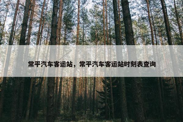 常平汽车客运站，常平汽车客运站时刻表查询