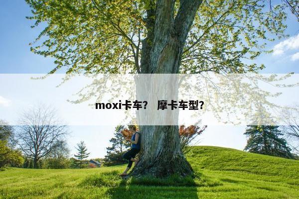 moxi卡车？ 摩卡车型？