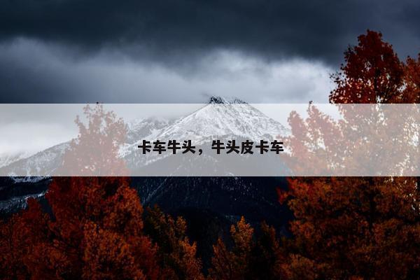 卡车牛头，牛头皮卡车