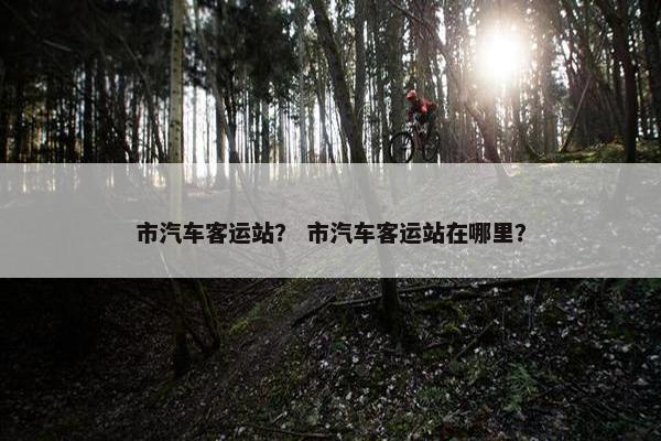 市汽车客运站？ 市汽车客运站在哪里？