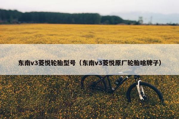 东南v3菱悦轮胎型号（东南v3菱悦原厂轮胎啥牌子）