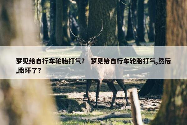 梦见给自行车轮胎打气？ 梦见给自行车轮胎打气,然后,胎坏了？