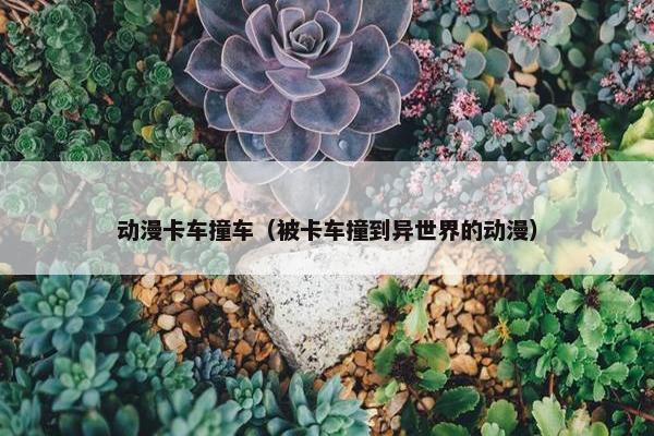 动漫卡车撞车（被卡车撞到异世界的动漫）