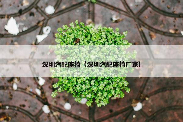 深圳汽配座椅（深圳汽配座椅厂家）