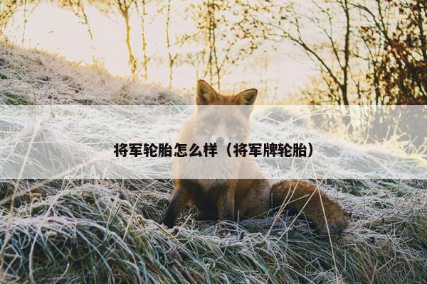 将军轮胎怎么样（将军牌轮胎）