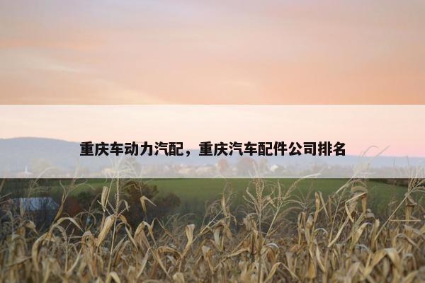 重庆车动力汽配，重庆汽车配件公司排名
