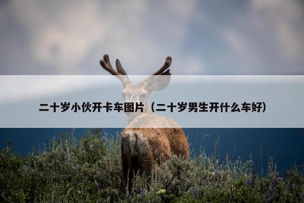二十岁小伙开卡车图片（二十岁男生开什么车好）