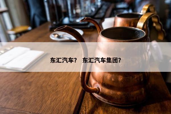 东汇汽车？ 东汇汽车集团？