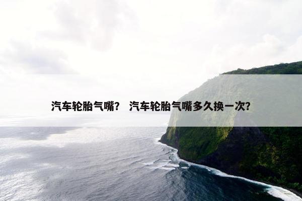 汽车轮胎气嘴？ 汽车轮胎气嘴多久换一次？