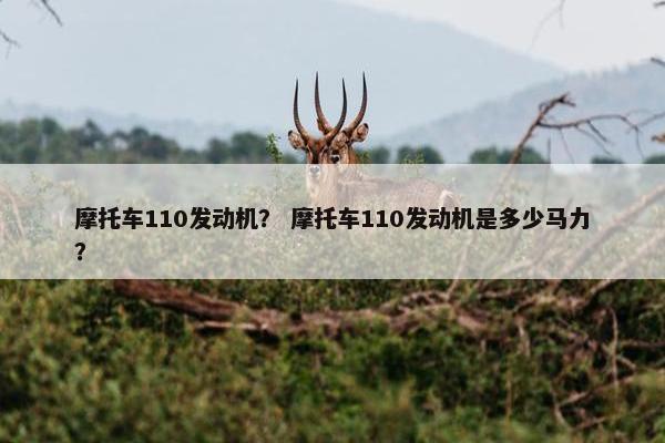摩托车110发动机？ 摩托车110发动机是多少马力？