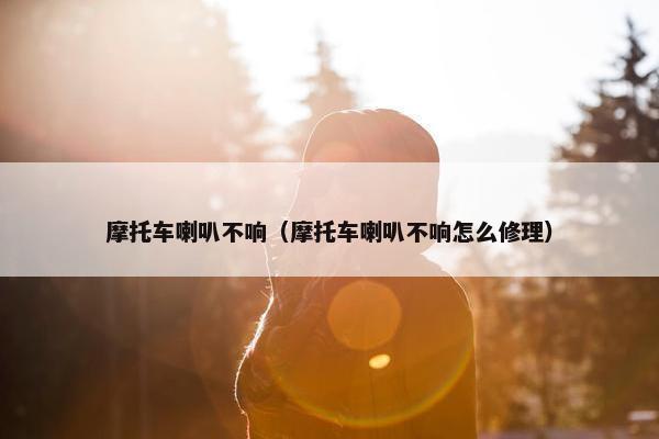 摩托车喇叭不响（摩托车喇叭不响怎么修理）