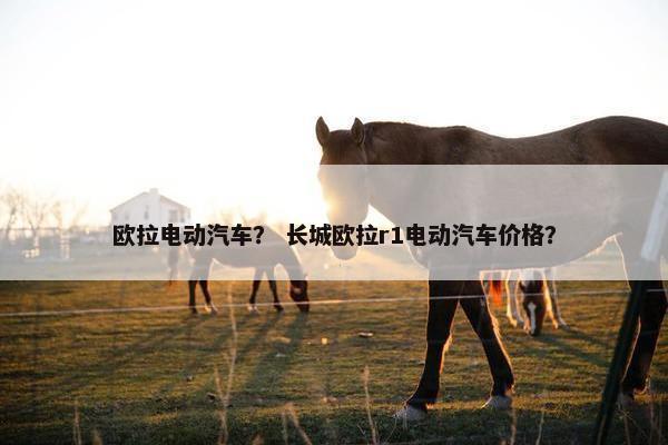 欧拉电动汽车？ 长城欧拉r1电动汽车价格？