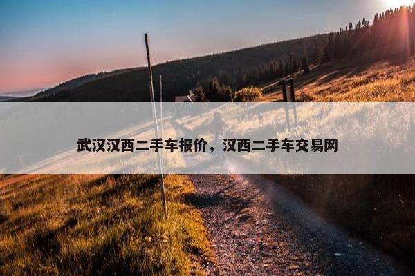 武汉汉西二手车报价，汉西二手车交易网