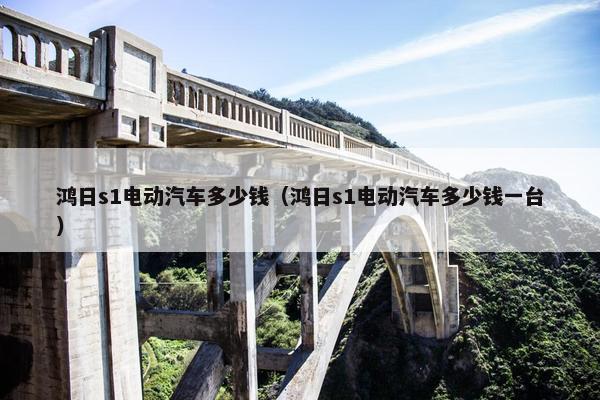 鸿日s1电动汽车多少钱（鸿日s1电动汽车多少钱一台）