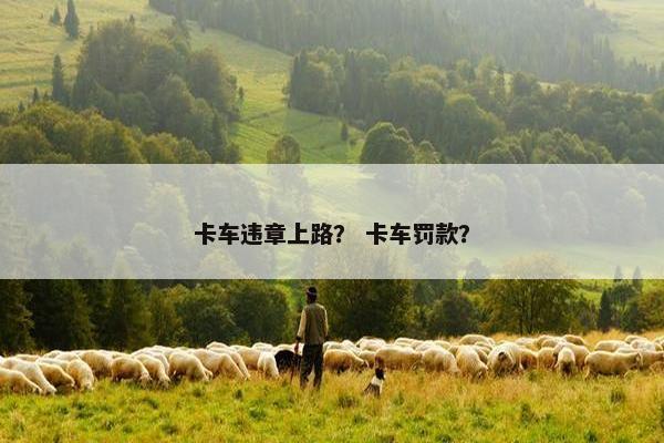 卡车违章上路？ 卡车罚款？