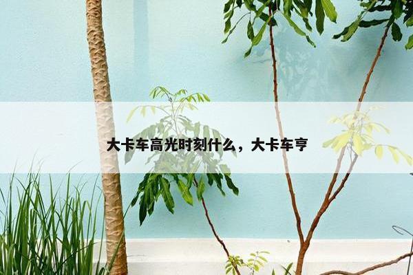 大卡车高光时刻什么，大卡车亨