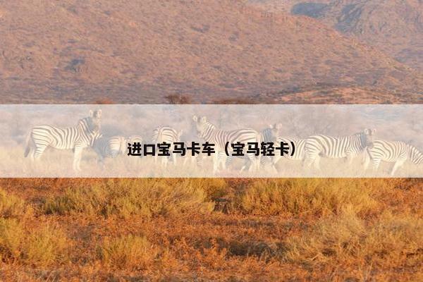 进口宝马卡车（宝马轻卡）