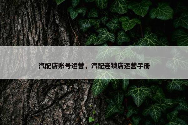 汽配店账号运营，汽配连锁店运营手册