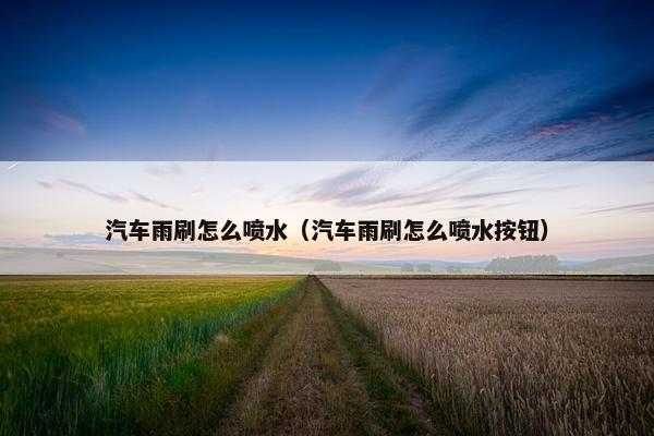汽车雨刷怎么喷水（汽车雨刷怎么喷水按钮）