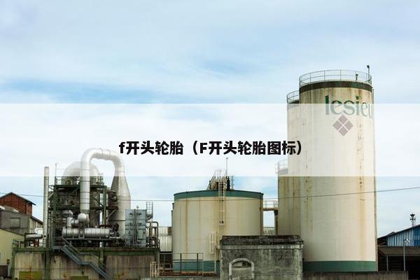 f开头轮胎（F开头轮胎图标）
