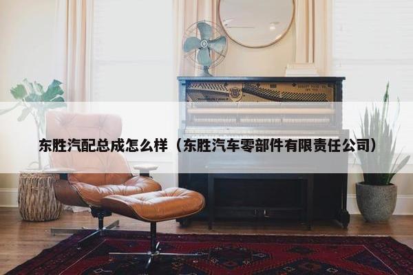 东胜汽配总成怎么样（东胜汽车零部件有限责任公司）