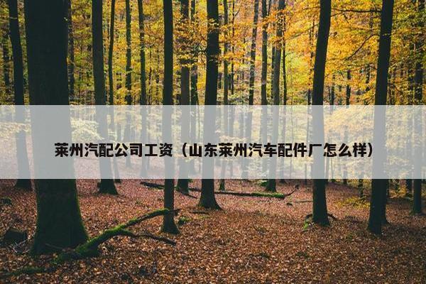 莱州汽配公司工资（山东莱州汽车配件厂怎么样）