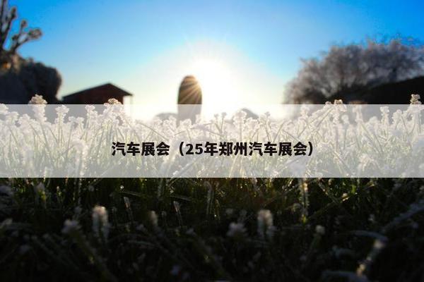 汽车展会（25年郑州汽车展会）