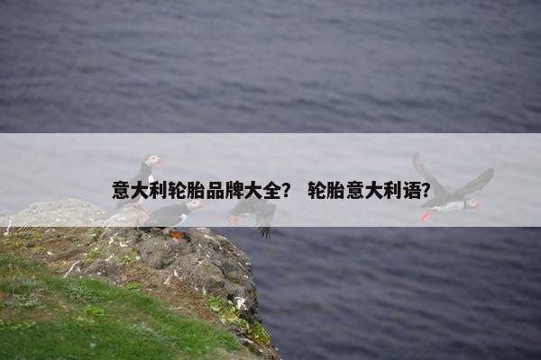 意大利轮胎品牌大全？ 轮胎意大利语？