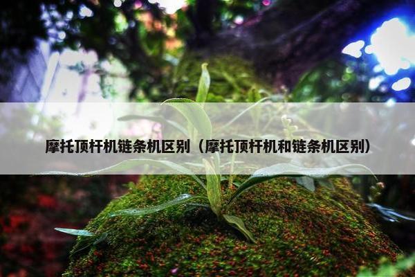 摩托顶杆机链条机区别（摩托顶杆机和链条机区别）