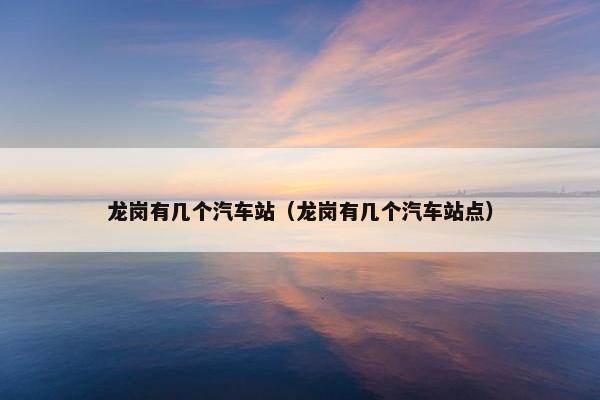 龙岗有几个汽车站（龙岗有几个汽车站点）
