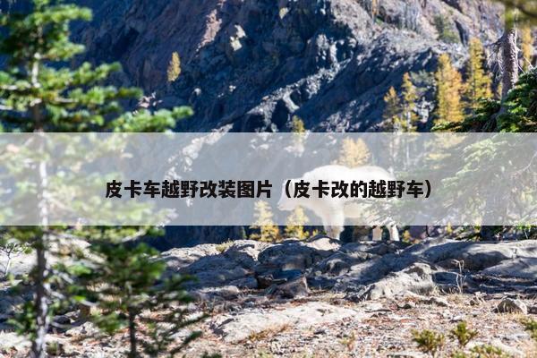皮卡车越野改装图片（皮卡改的越野车）
