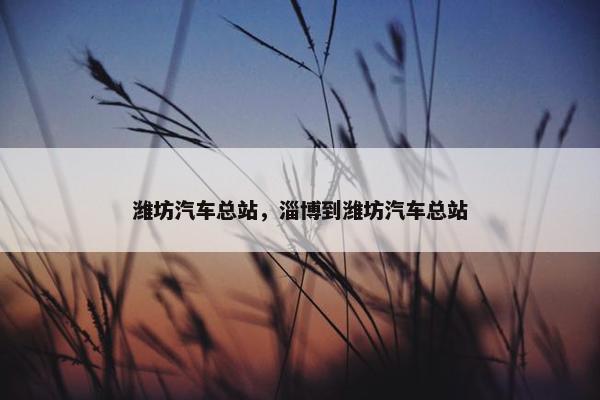 潍坊汽车总站，淄博到潍坊汽车总站
