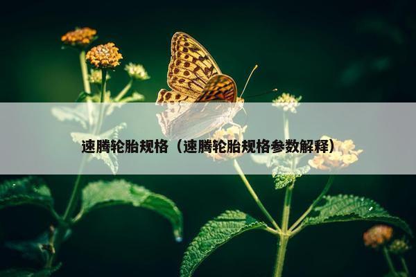 速腾轮胎规格（速腾轮胎规格参数解释）